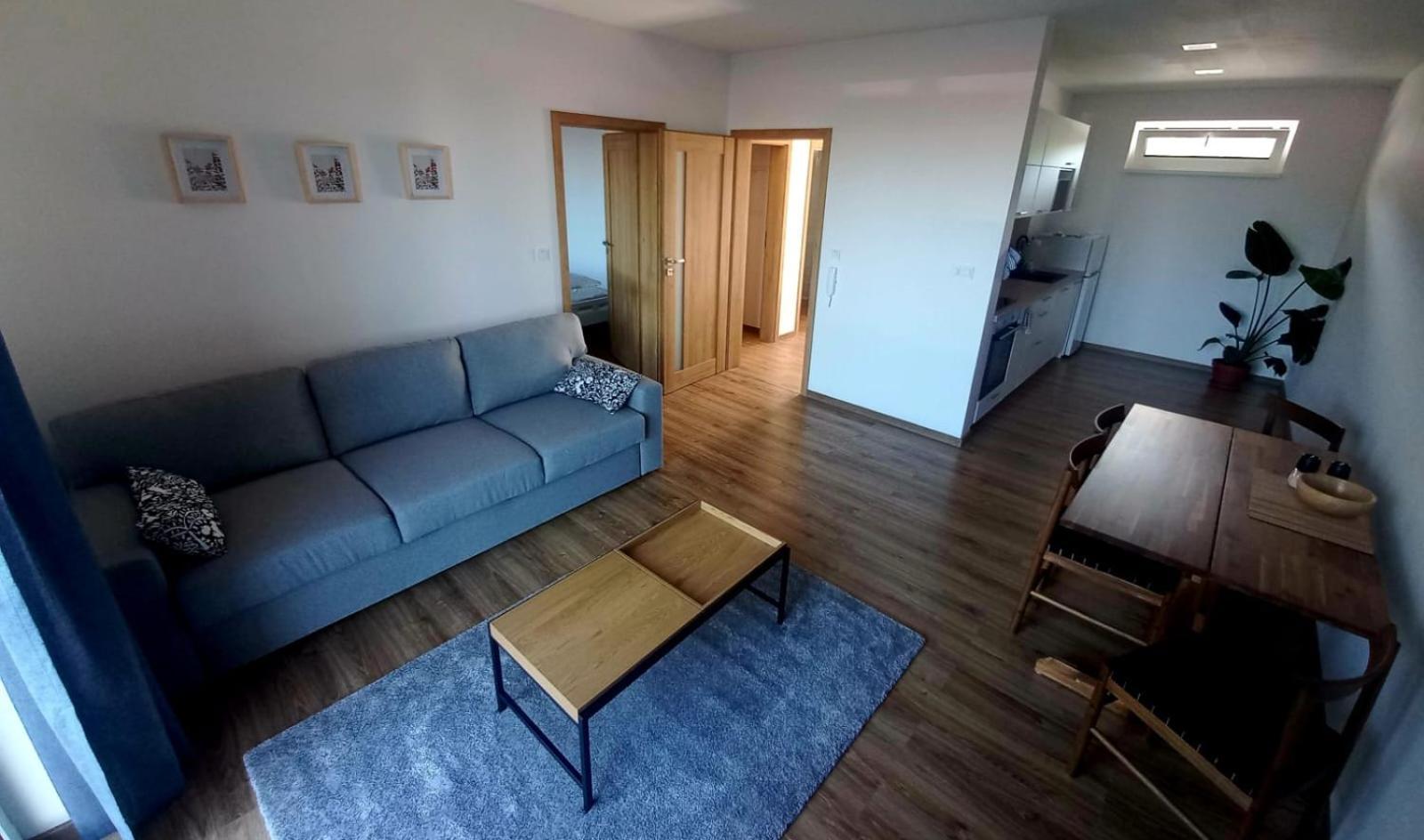 Apartman Violetta โนเว เมสตู นอด เมตูยี ภายนอก รูปภาพ